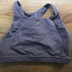 Grape shark jourdaine